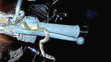 venomous-snake-wrapped-around-the-handle-of-the-bike--youth-escaped