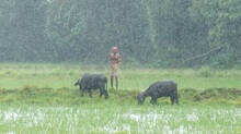 rain-alert-in-kerala