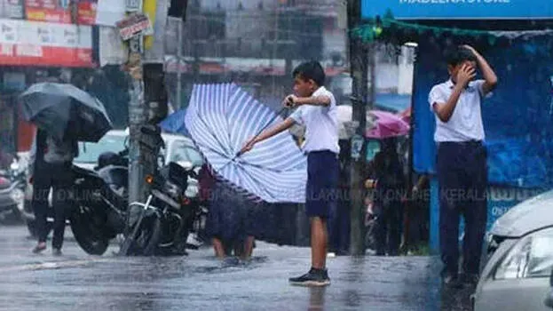 rain