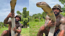 man-carries-king-cobra-on-hand