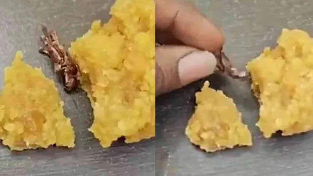 laddoo