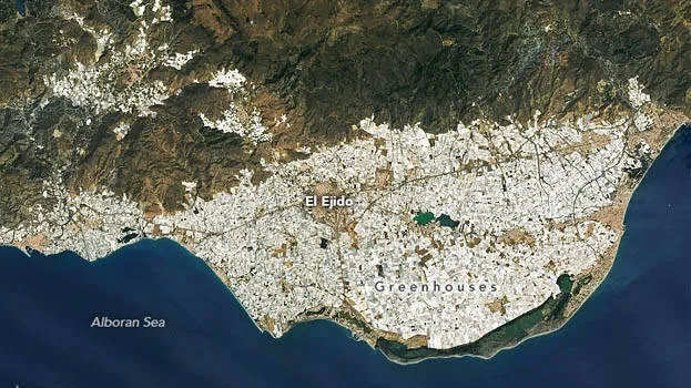 el-ejido