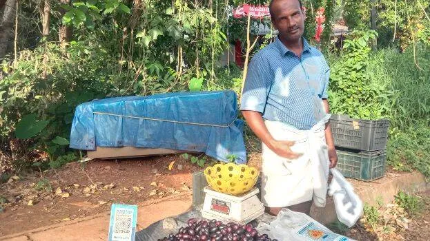 njavelpazham