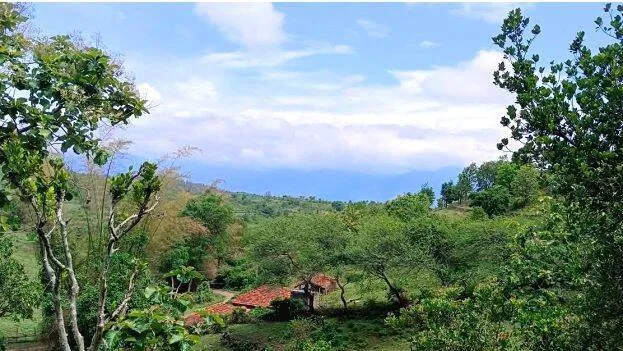 land