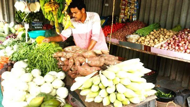 vegitable