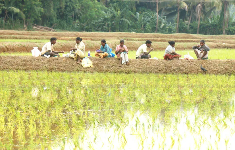 Kerala Kaumudi Photo Gallery