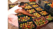 mango