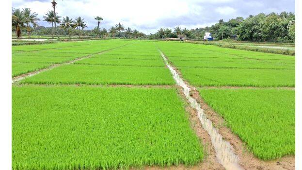 agri