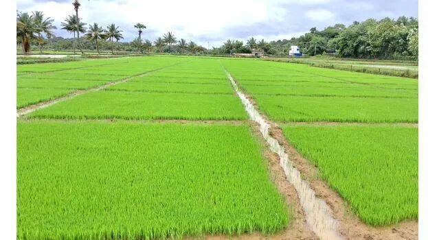 agri