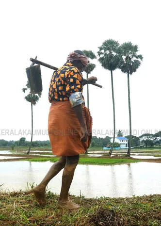 farmer