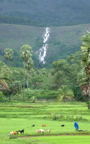 Kerala Kaumudi Photo Gallery