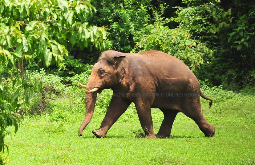 Kerala Kaumudi Photo Gallery