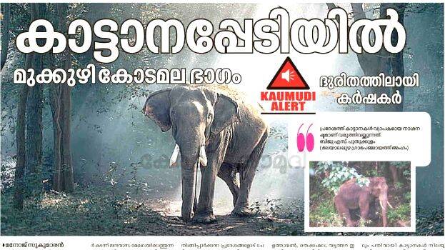 news-