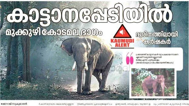 news-