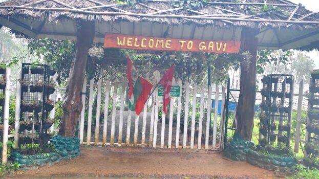 gavi