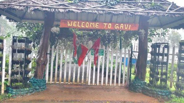 gavi