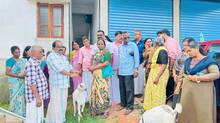 aadu-
