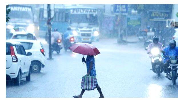 rain