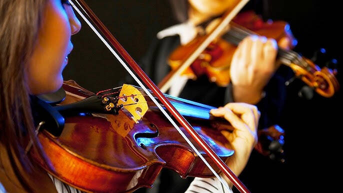 violin