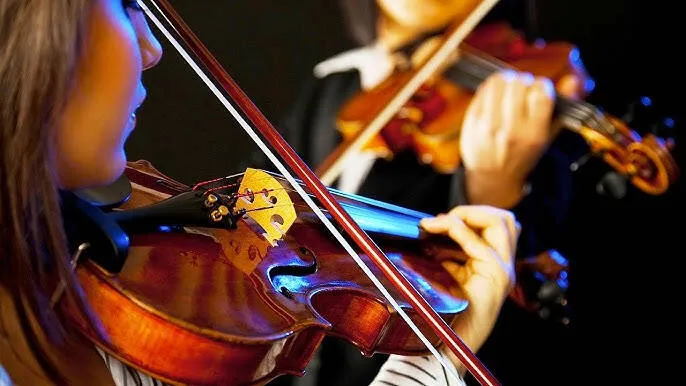 violin