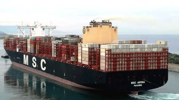 msc-arina