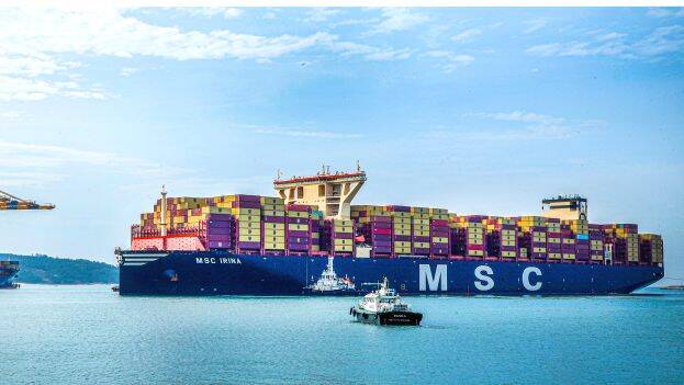 msc-ireena
