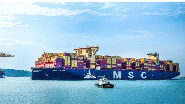 msc-ireena