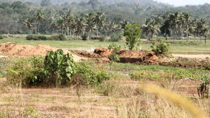 aranmula