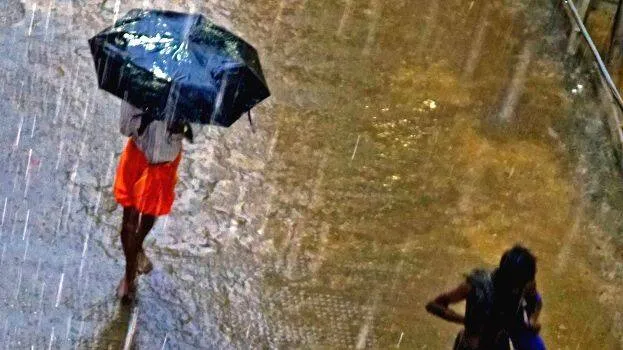 rain-6