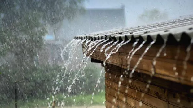rain