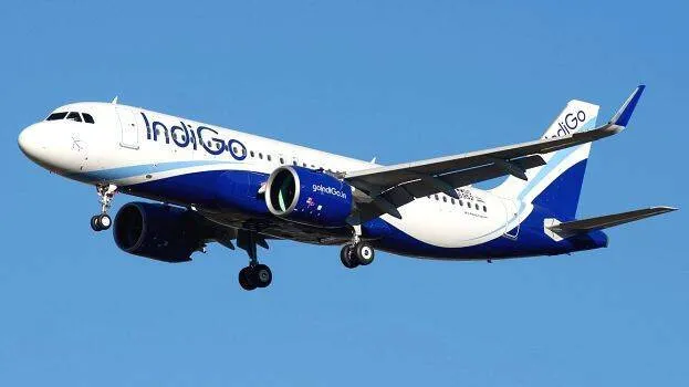 indigo