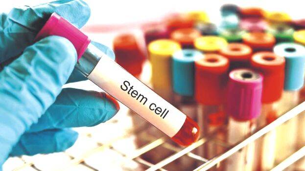 cell
