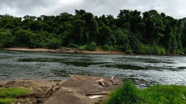 kuttampuzha