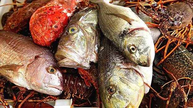 seafood