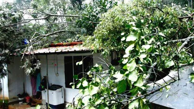 veedu