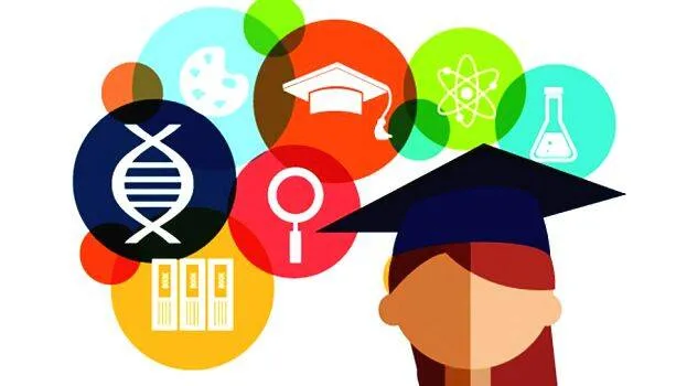 four-year-undergradute
