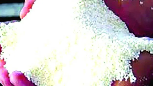 rasavalam
