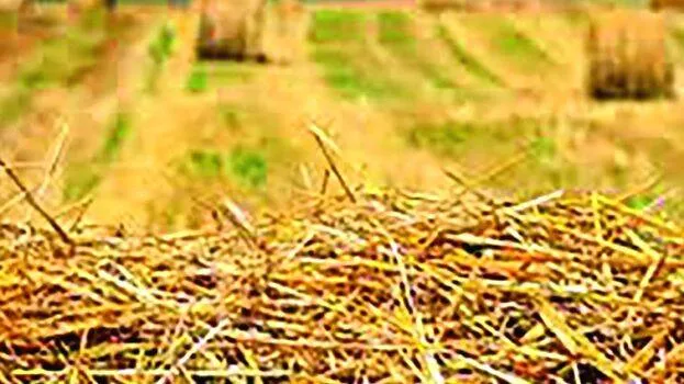 vykol