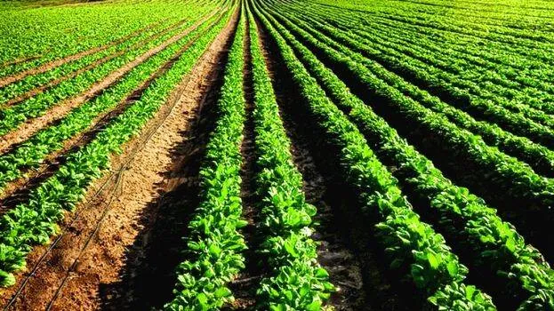 farming