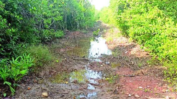 kandal