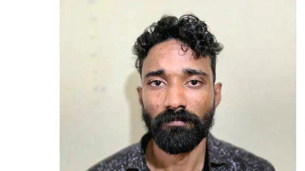 hafsal