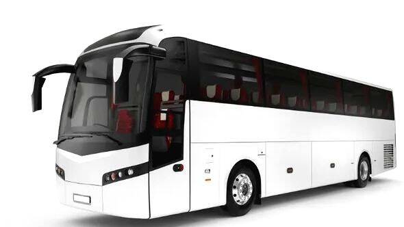 bus