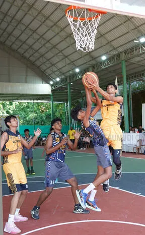 basket