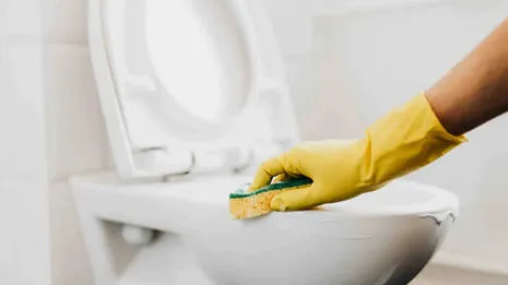 toilet