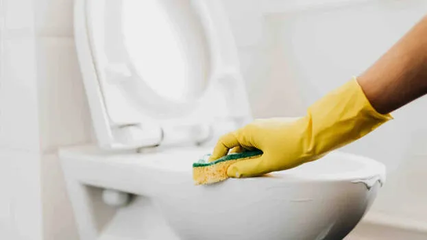toilet