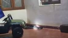 toy-car