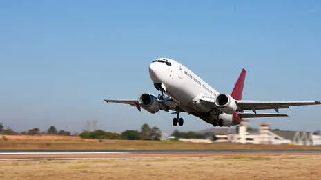 flight