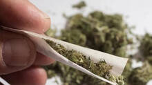 ganja