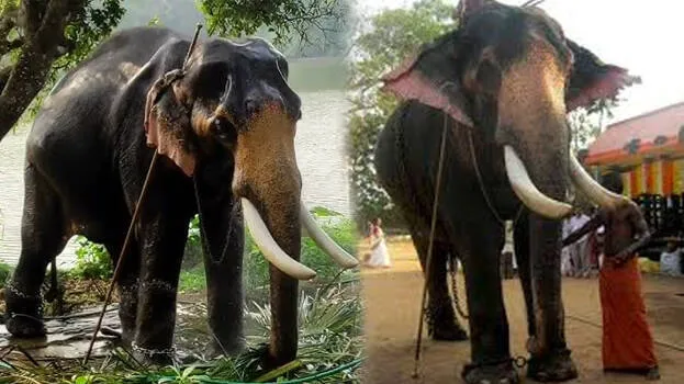 omalloor-manikandan