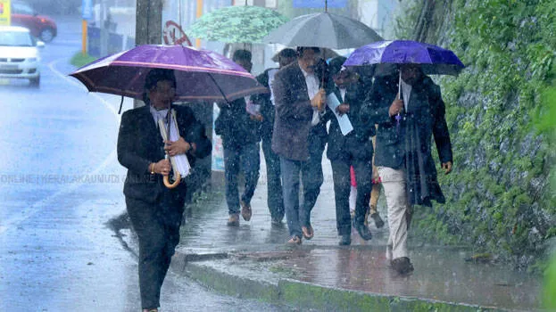 rain-alert